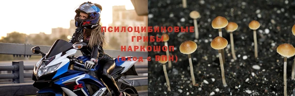 герыч Алзамай