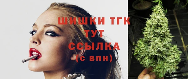 шишки Алексеевка
