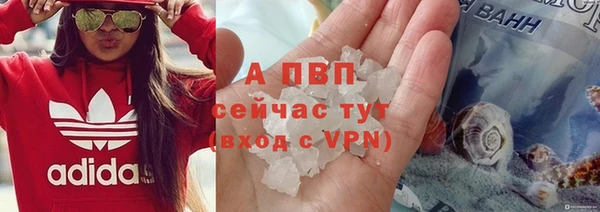 apvp Алексин
