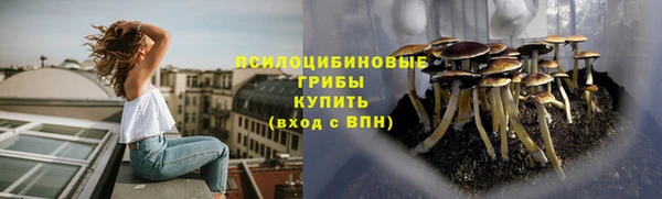 герыч Алзамай