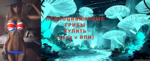 шишки Алексеевка