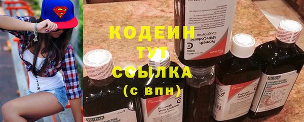 молекула духа Кулебаки