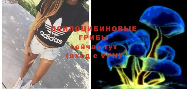 шишки Алексеевка